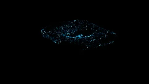 Shiny Particles Background. Beautiful Particles Animation Video stock 101583828