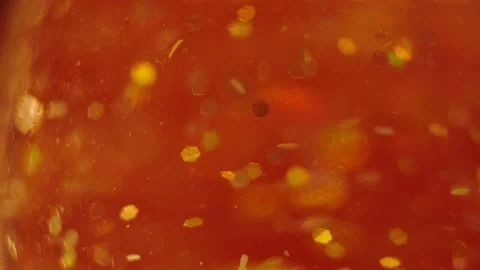 Shiny particles floating in the water Stock Footage 146817175