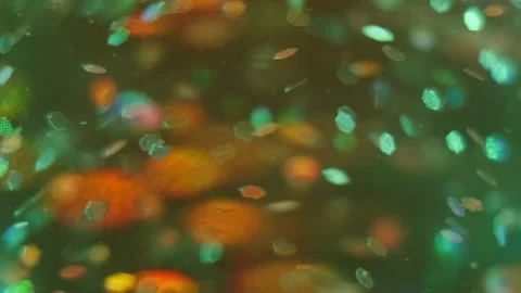 Shiny particles floating in the water Stock Footage 146817270
