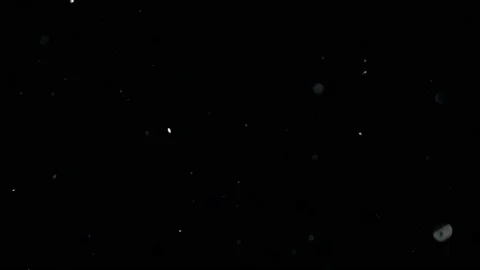 Shiny particles sparkling in the wind Stock Footage 237100571