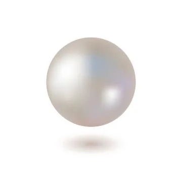 Shiny Pearl on White Background. Vector 库存插图