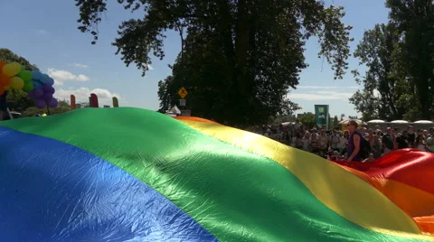 Shiny rainbow flag background Stock Footage 65880297