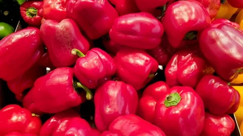 Shiny Red Bell Peppers Stock Footage 320146100