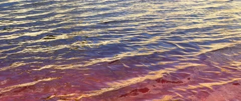 Shiny reddish polluted waters 4K anamorphic video Stock-Footage 156228644