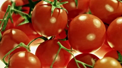 Shiny Ripe Cherry Tomatoes Stock Footage 73316807