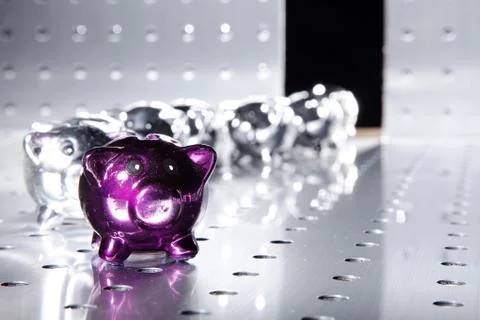 Shiny saving pigs Stock Photos