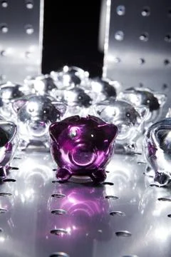 Shiny saving pigs Stock Photos