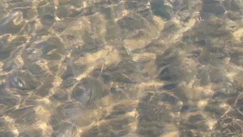 Shiny shallow water Stock Footage 170896627