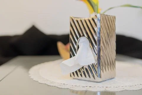 A shiny silver tissue box with flowing pattern on a table in a bright, comf.. Stock Photos