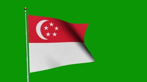 Shiny singpore flags flying 動画素材 260770971