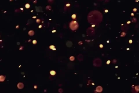 Shiny sparkling glitter on black background copy space Stock Footage 252682516