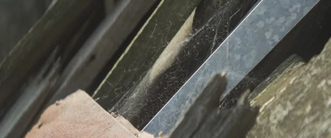 Shiny spider web on light breeze 5.7K anamorphic video Stock Footage 311499510