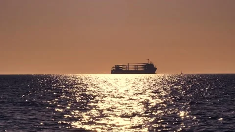 Shiny sun reflections. Sparkling sea water. Ocean waves. Ships. Bird. Real time. Stock Footage 155372639