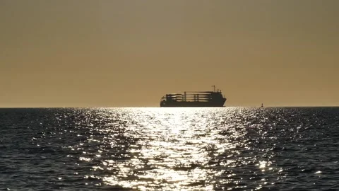 Shiny sun reflections. Sparkling sea water. Ocean waves. Ships. Bird. Real time. Stock Footage 155372641