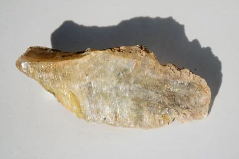 A shiny translucent flat piece of mica Stock Photos