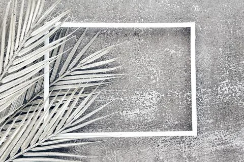 Shiny tropical palm leaf shadows on white grey ceramic beton wall. Abstract p Stock Photos