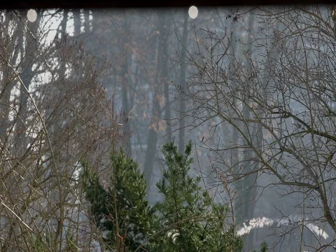 Shiny Water drops falling from the top of the roof Stock Footage 72950341