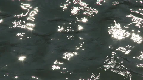 Shiny water reflecting the sun Stock Footage 231492572