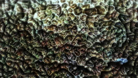 Shiny wavy plastic surface Stock-Footage 135411853