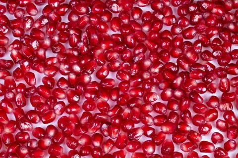 Shiny white surface hosts red seeds. Bright red arils scatter on glossy white ba 库存照片