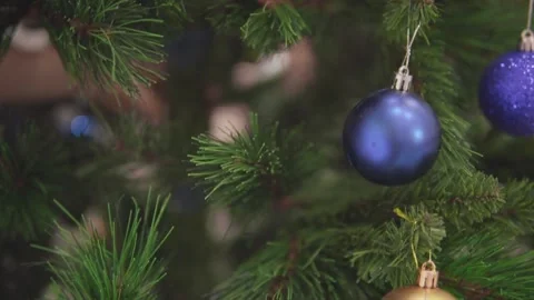 Shiny balls tremble on the branches. Stock-Footage 144310623