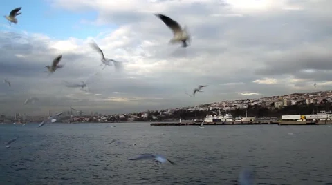 Ship and Cloud 스톡 동영상 40050544