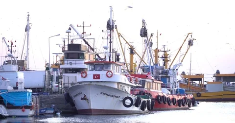 Ship and  Seagulls Stock Footage 86405750