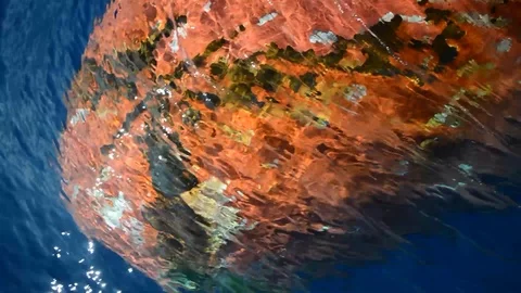 Ship Bulba3 Stock Footage 114968846