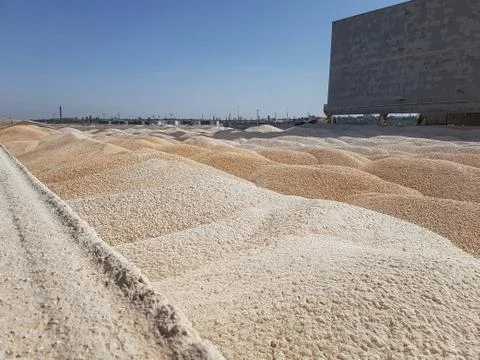 Ship cargo hold fully loaded with grain products corn Stock-Fotos