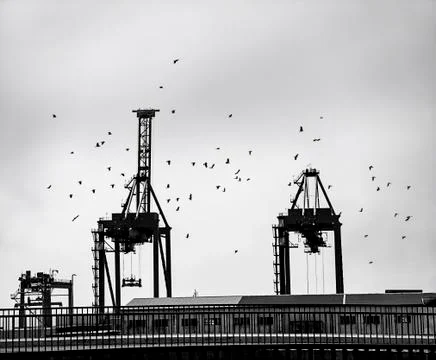 Ship cargo loading dock silhouette Stock Photos