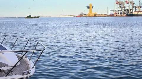 The ship in a cargo port, seagulls over sea waves and dolphins in the sea Stock Footage 75080042