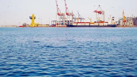 The ship in a cargo port, seagulls over sea waves and dolphins in the sea Stock Footage 75080085