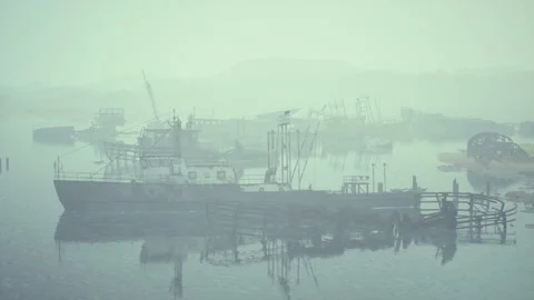 Ship cemetery in the sea Vídeo Stock 159403342
