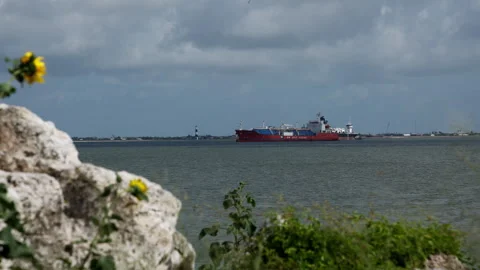 Ship, Container, Cargo, Port, Harbor, Vessel, Maritime, Logistics, Trade Stock Footage 338128867