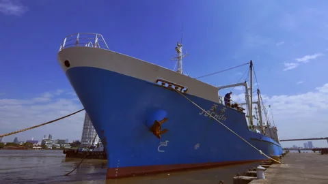 Ship docked Video stock 156165566