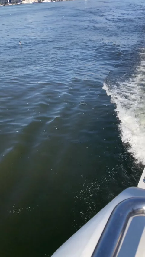 Ship floating in the Bay (Vertical Video) Stock Footage 335254306