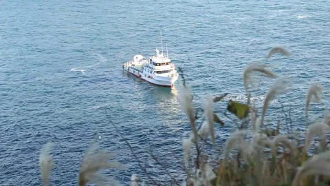 Ship floating in the sea Video stock 310919651