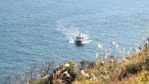 Ship floating in the sea Video stock 310919656