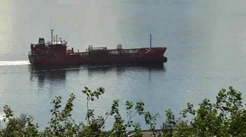 The ship floats on the water against a background of tree branches. Vídeo Stock 68447205