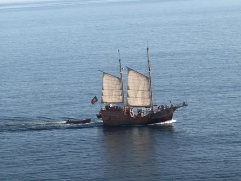 Ship Stock Footage 490262