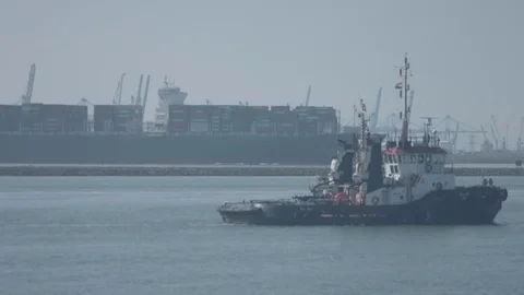 Ship in the harbor Stock Footage 74289637