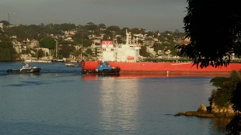 Ship in Harbour Stock Footage 108674147