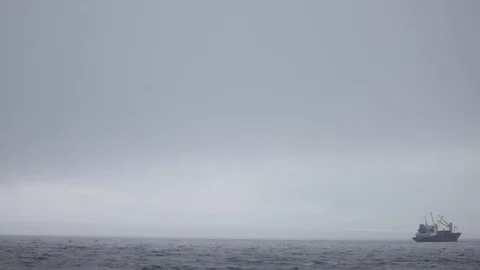 Ship on the horizon 스톡 동영상 124291186