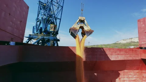 Ship is loaded with grain using port cranes. Loading grain and wheat Stock Footage 275144807