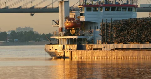 Ship loaded roundwood Stock Footage 94762006