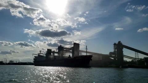 Ship loading with cereals 2 Video stock 138283531