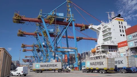 Ship loading Container in Terminal at Santos Brazil harbor Video stock 113741958