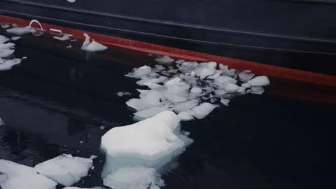 Ship Moving Through Floating Ice Fragments in Antarctica Vidéo 336100245