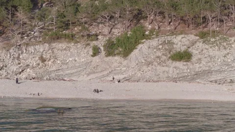 The ship ran aground. Environmental pollution at sea. Aerial view. grounded ship Stock Footage 137653560