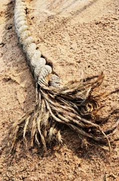Ship rope in sand Stock Photos